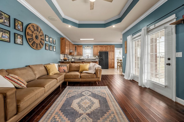 living room featuring a raised ceiling, crown molding, dark hardwood / wood-style floors, and ceiling fan