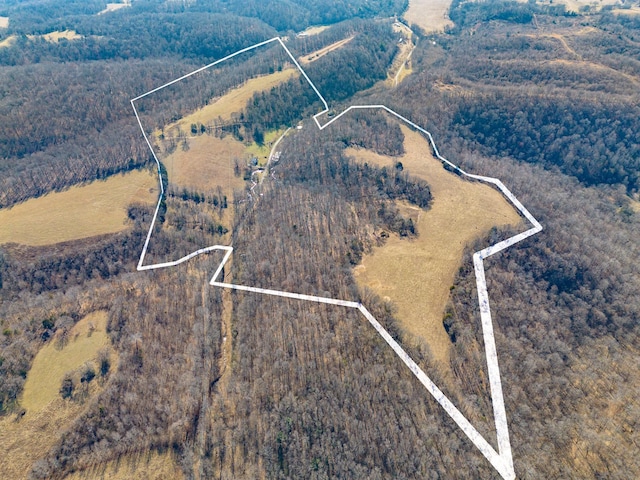 aerial view with a rural view