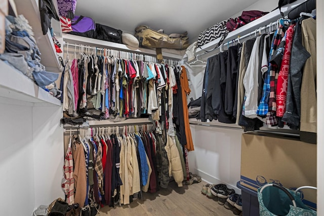 spacious closet featuring hardwood / wood-style floors