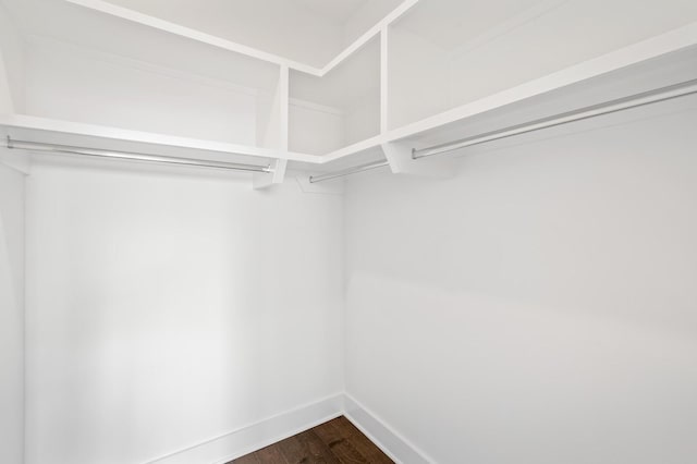 walk in closet featuring hardwood / wood-style floors