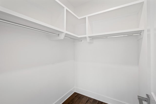 spacious closet featuring dark hardwood / wood-style flooring