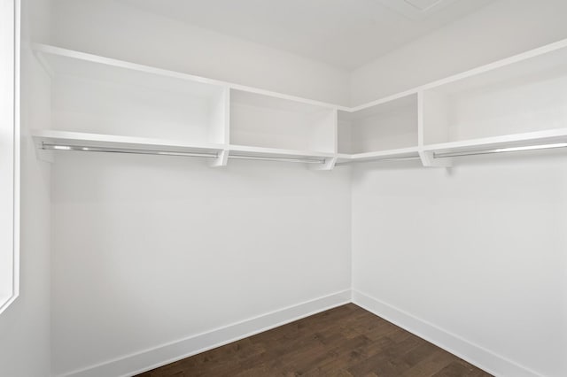 walk in closet with dark hardwood / wood-style flooring