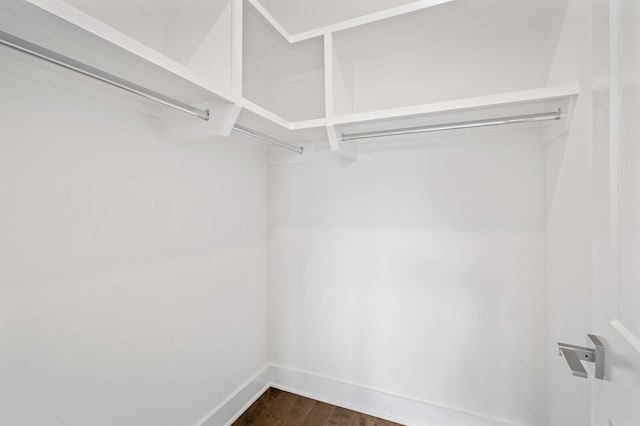 walk in closet with dark hardwood / wood-style floors