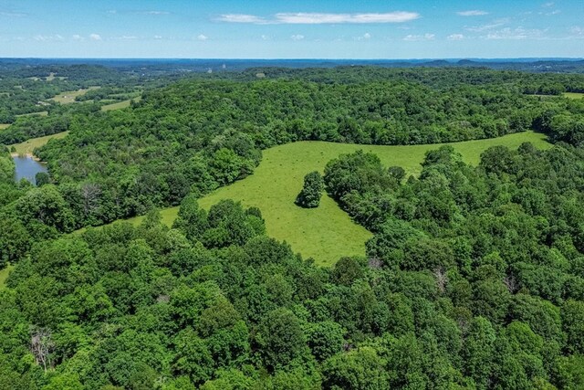 0 Simmons Ridge Rd, Cornersville, TN 37047 - photo 7