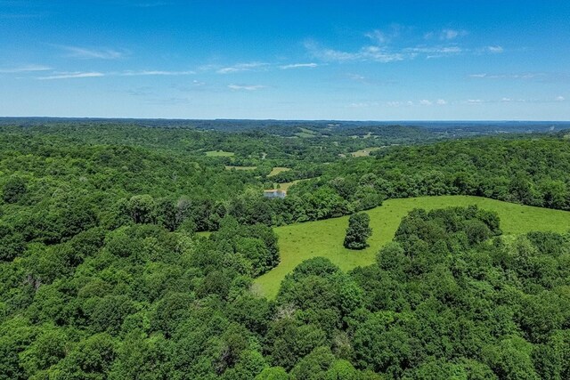 0 Simmons Ridge Rd, Cornersville, TN 37047 - photo 9