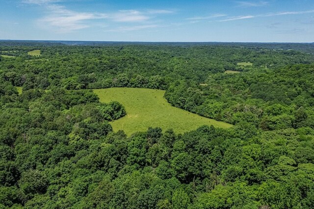 0 Simmons Ridge Rd, Cornersville, TN 37047 - photo 10