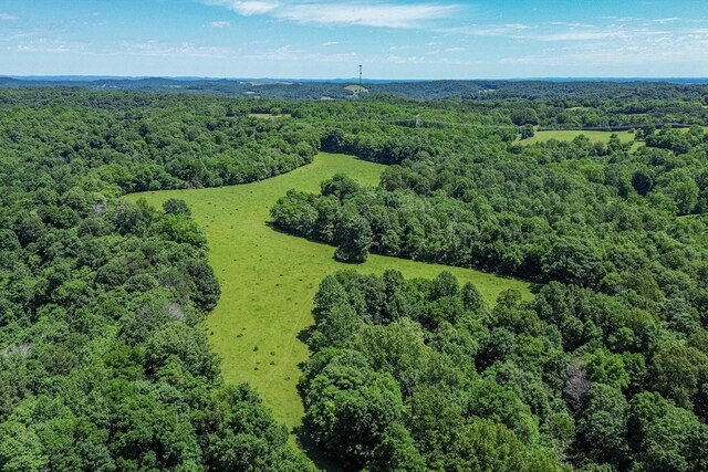 0 Simmons Ridge Rd, Cornersville, TN 37047 - photo 8
