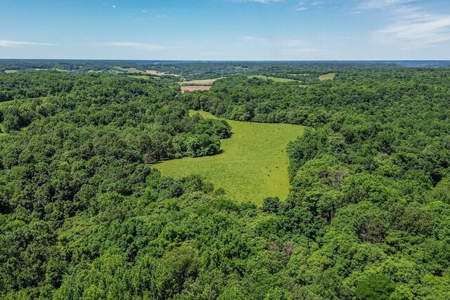 0 Simmons Ridge Rd, Cornersville, TN 37047 - photo 11