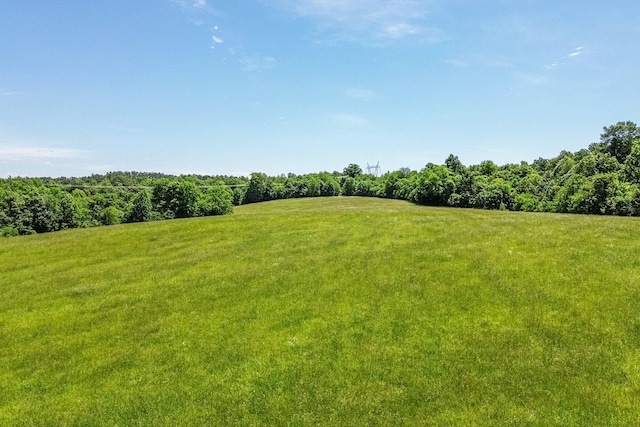 0 Simmons Ridge Rd, Cornersville, TN 37047 - photo 14