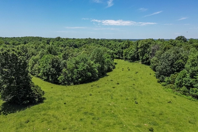 0 Simmons Ridge Rd, Cornersville, TN 37047 - photo 17