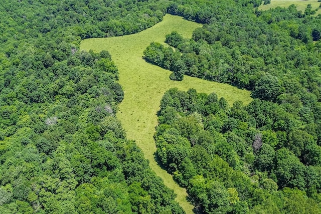 0 Simmons Ridge Rd, Cornersville, TN 37047 - photo 20
