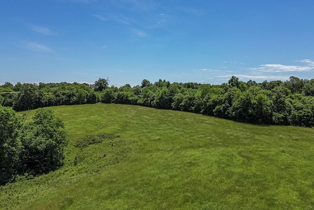 0 Simmons Ridge Rd, Cornersville, TN 37047 - photo 12