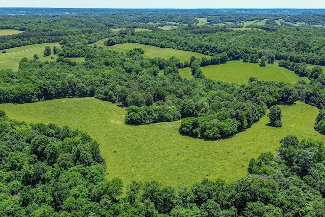 0 Simmons Ridge Rd, Cornersville, TN 37047 - photo 19