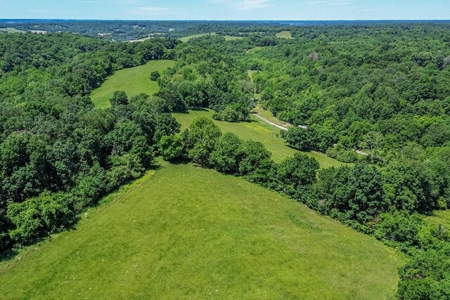 0 Simmons Ridge Rd, Cornersville, TN 37047 - photo 16