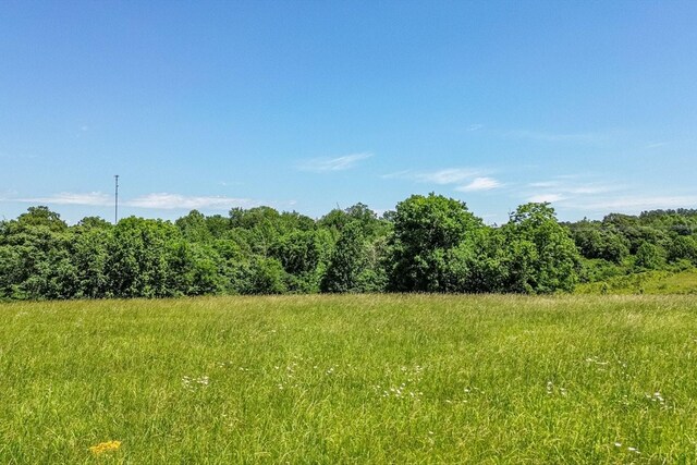 0 Simmons Ridge Rd, Cornersville, TN 37047 - photo 15