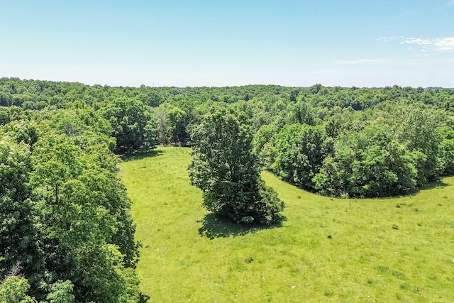 0 Simmons Ridge Rd, Cornersville, TN 37047 - photo 18