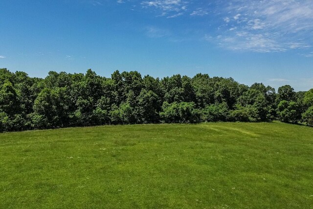 0 Simmons Ridge Rd, Cornersville, TN 37047 - photo 13