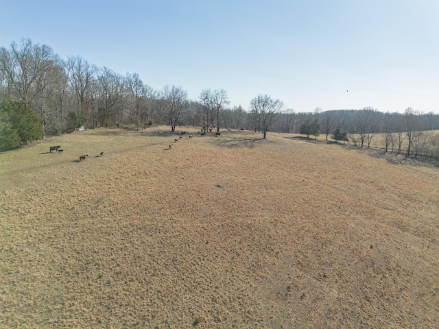 Listing photo 3 for 2031 Simmons Ridge Rd, Cornersville TN 37047