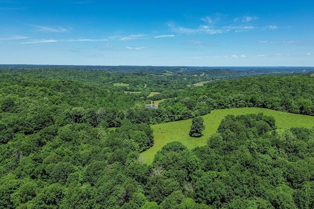 2031 Simmons Ridge Rd, Cornersville, TN 37047 - photo 9