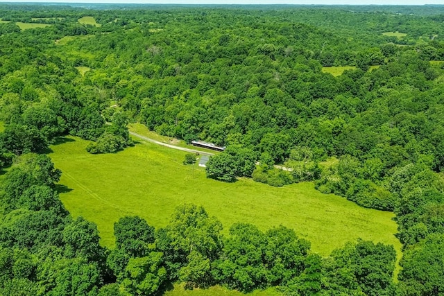 2031 Simmons Ridge Rd, Cornersville, TN 37047 - photo 2