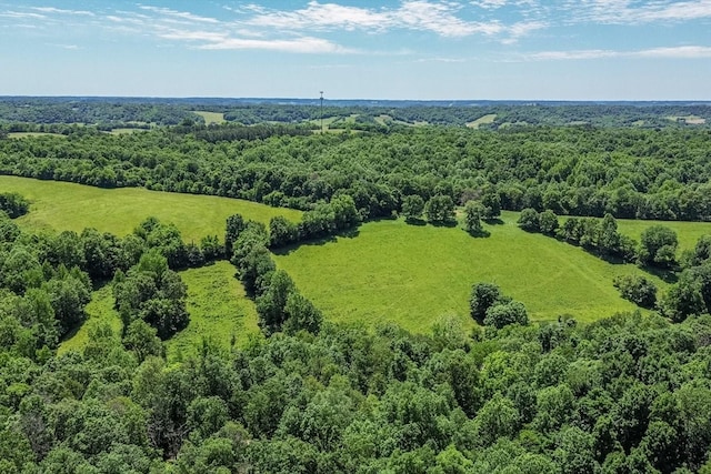 2031 Simmons Ridge Rd, Cornersville, TN 37047 - photo 5
