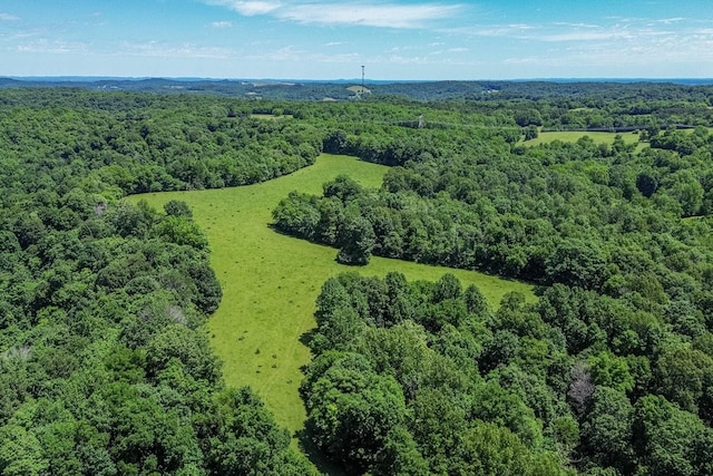 2031 Simmons Ridge Rd, Cornersville, TN 37047 - photo 1