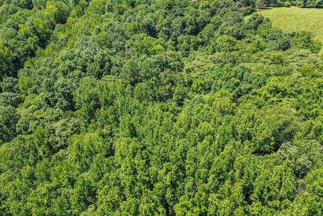 2031 Simmons Ridge Rd, Cornersville, TN 37047 - photo 12