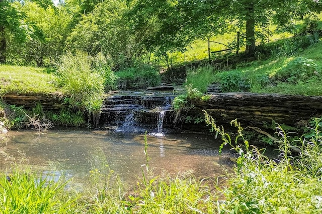 2031 Simmons Ridge Rd, Cornersville, TN 37047 - photo 18