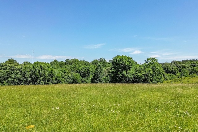 2031 Simmons Ridge Rd, Cornersville, TN 37047 - photo 16