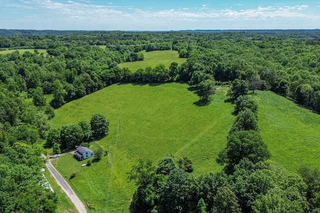 2031 Simmons Ridge Rd, Cornersville, TN 37047 - photo 30
