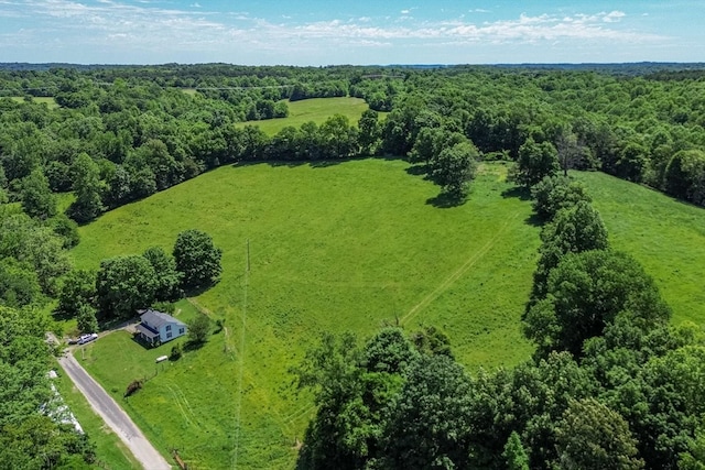 2031 Simmons Ridge Rd, Cornersville, TN 37047 - photo 29