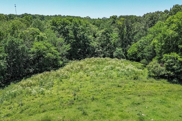 2031 Simmons Ridge Rd, Cornersville, TN 37047 - photo 25