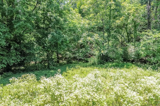 2031 Simmons Ridge Rd, Cornersville, TN 37047 - photo 26