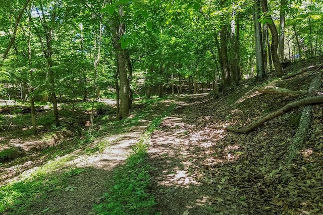 2031 Simmons Ridge Rd, Cornersville, TN 37047 - photo 21