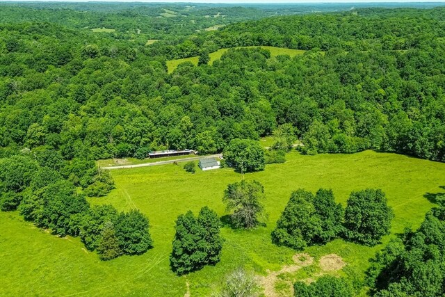 2031 Simmons Ridge Rd, Cornersville, TN 37047 - photo 32
