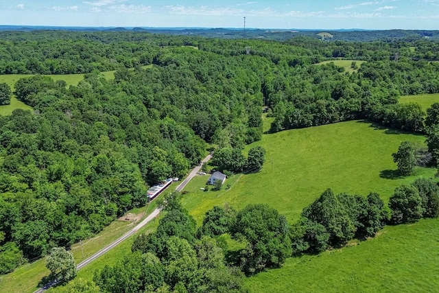 2031 Simmons Ridge Rd, Cornersville, TN 37047 - photo 31