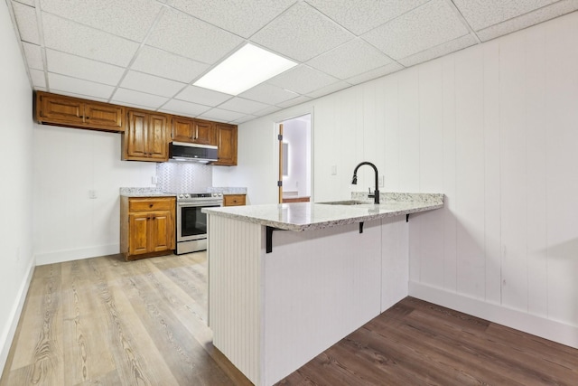 kitchen featuring range hood, sink, a kitchen breakfast bar, light wood-type flooring, and stainless steel electric range