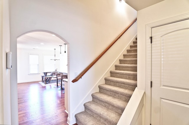 staircase with hardwood / wood-style flooring