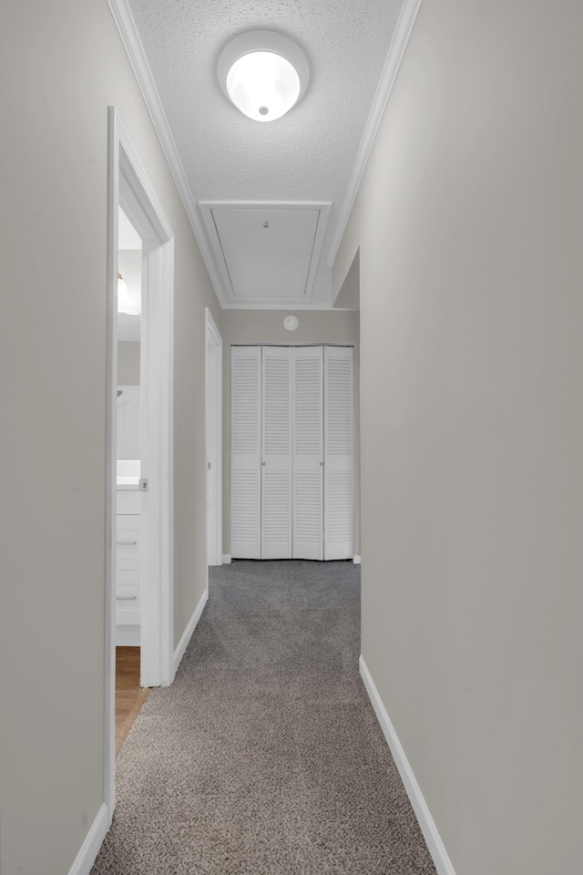 hall featuring ornamental molding, a textured ceiling, and carpet flooring