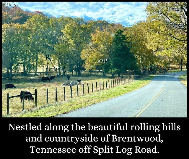 view of road featuring a rural view