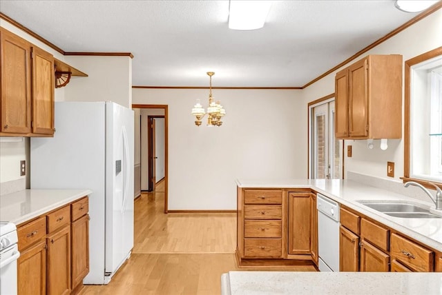 kitchen featuring sink, white appliances, hanging light fixtures, ornamental molding, and light hardwood / wood-style floors