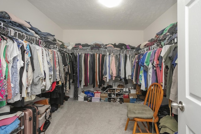 walk in closet featuring carpet flooring