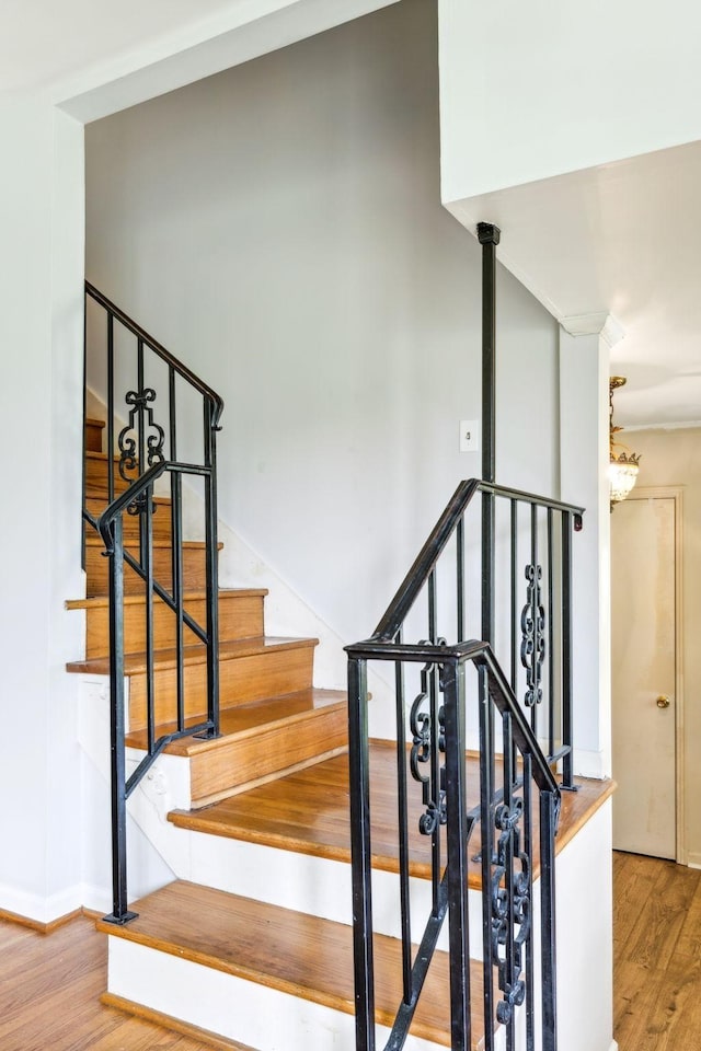 stairway featuring wood-type flooring