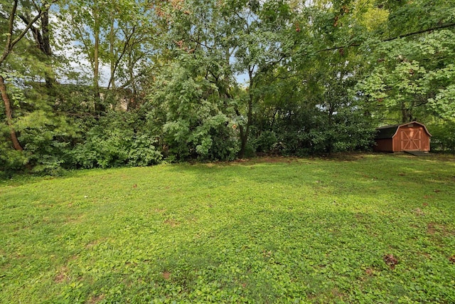 view of yard featuring a storage shed