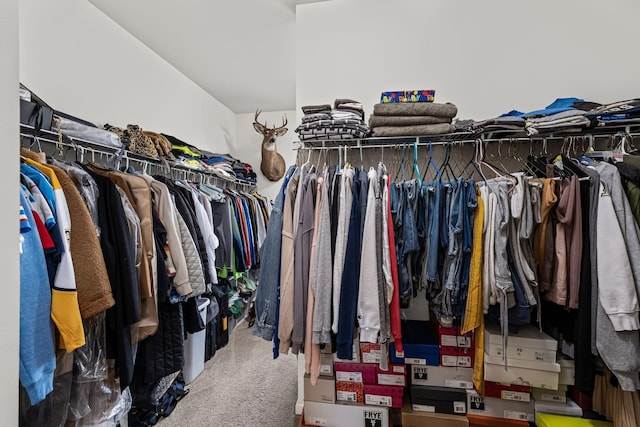 spacious closet with carpet flooring