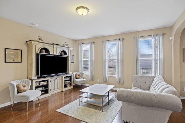 living room with hardwood / wood-style flooring and a healthy amount of sunlight