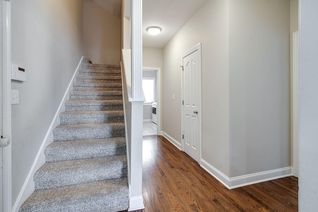 stairway with hardwood / wood-style flooring