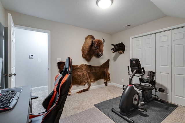 exercise room with lofted ceiling, carpet, and a textured ceiling