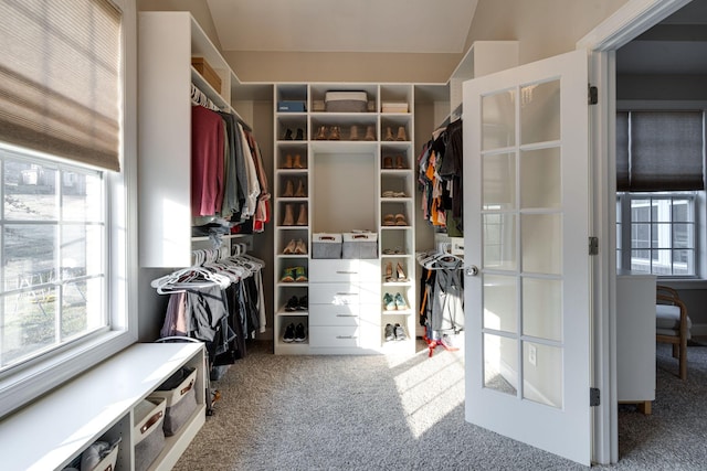 walk in closet with carpet floors