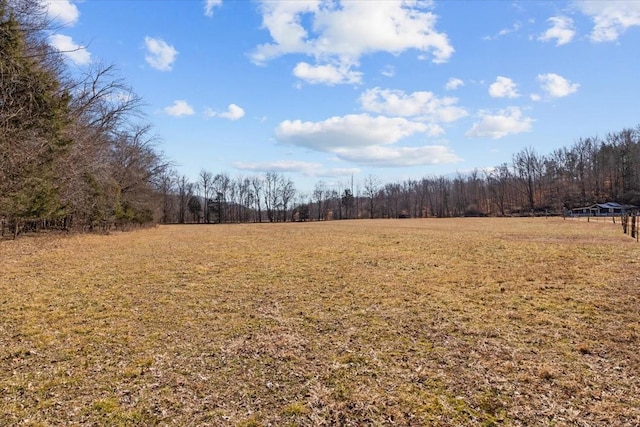 view of yard with a rural view